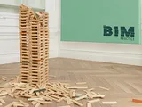 The BIM practice