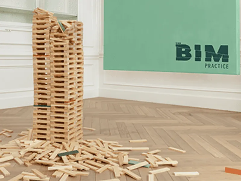 The BIM practice